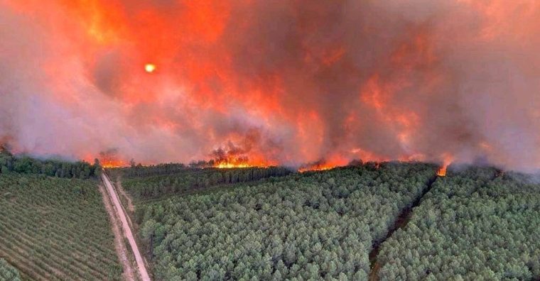 Illustration de l'article Incendies en Gironde : une désolation