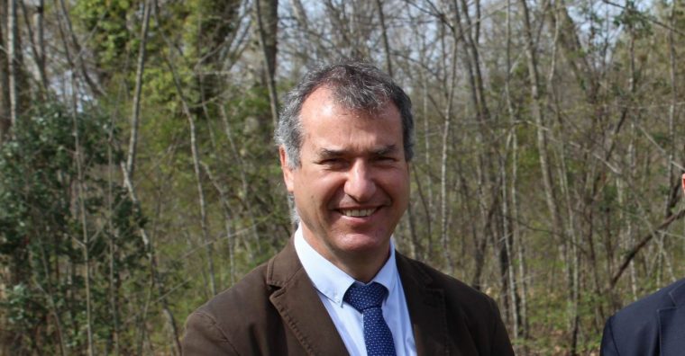 Stéphane Viéban, Alliance Forêts Bois