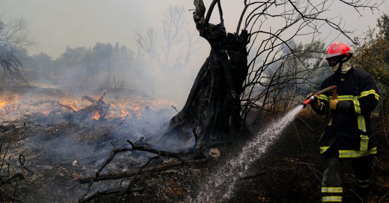 Illustration de l'article [ Incendies en Gironde ] Urgences environnementales et enjeux économiques