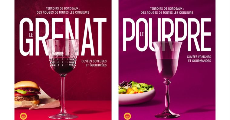 Illustration de l'article Vignoble : Nouvelle campagne des Vins de Bordeaux