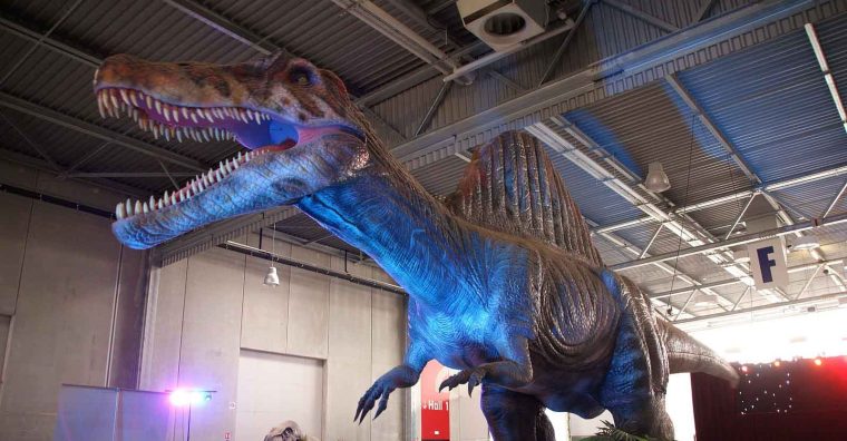 Illustration de l'article Bordeaux : Le Musée Ephémère met en scène des dinosaures