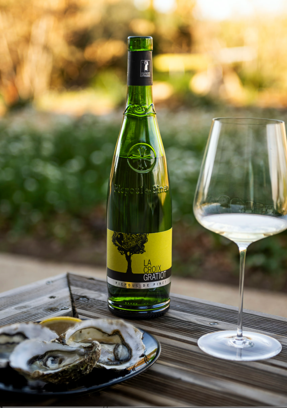 domaine de la Croix Gratiot, appellation Picpoul de Pinet