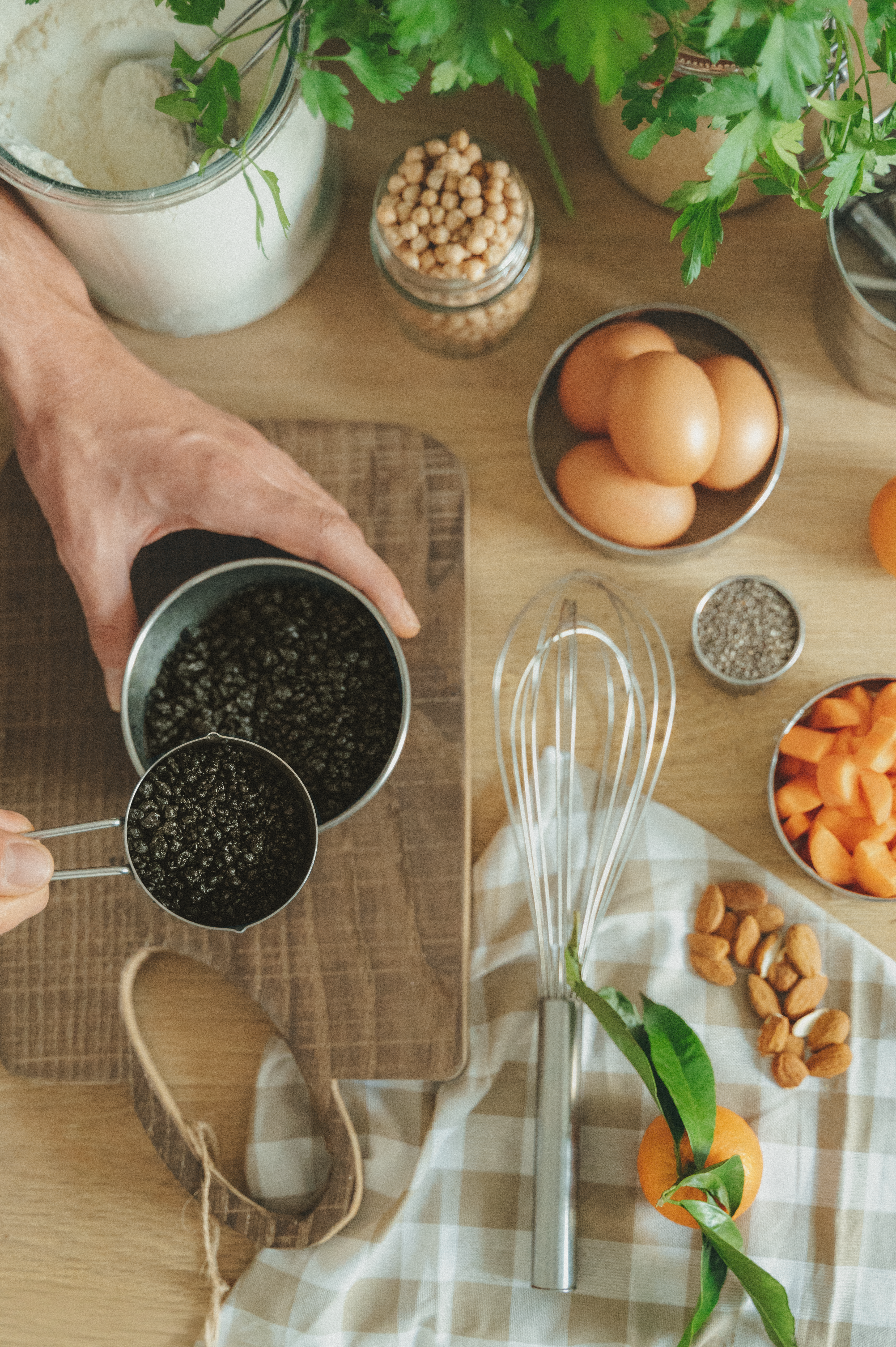 Edonia, Pierre Mignon, Hugo Valentin, Nicolas Irlinger, microalgue