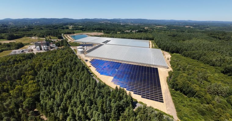 Illustration de l'article Le bordelais Newheat met en service sa première centrale solaire pour serres