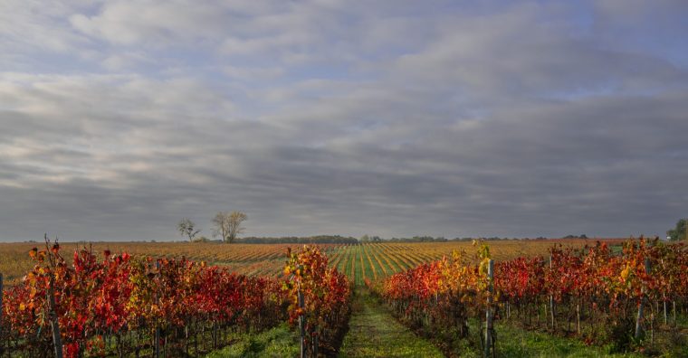 Illustration de l'article Les acteurs économiques se mobilisent face à la hausse de la CFE dans l’Entre-deux-Mers