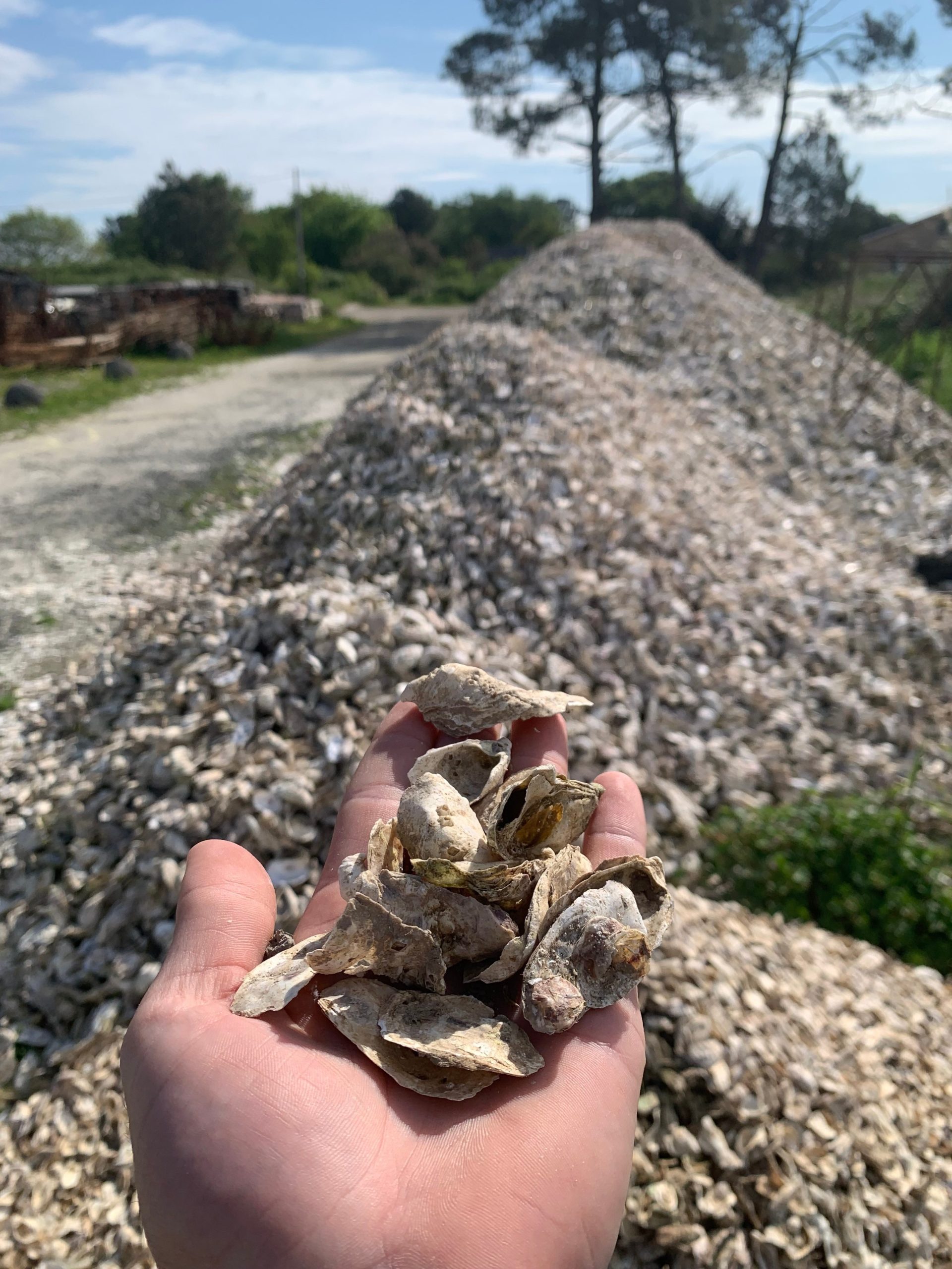 Douglas Bertin, CalX