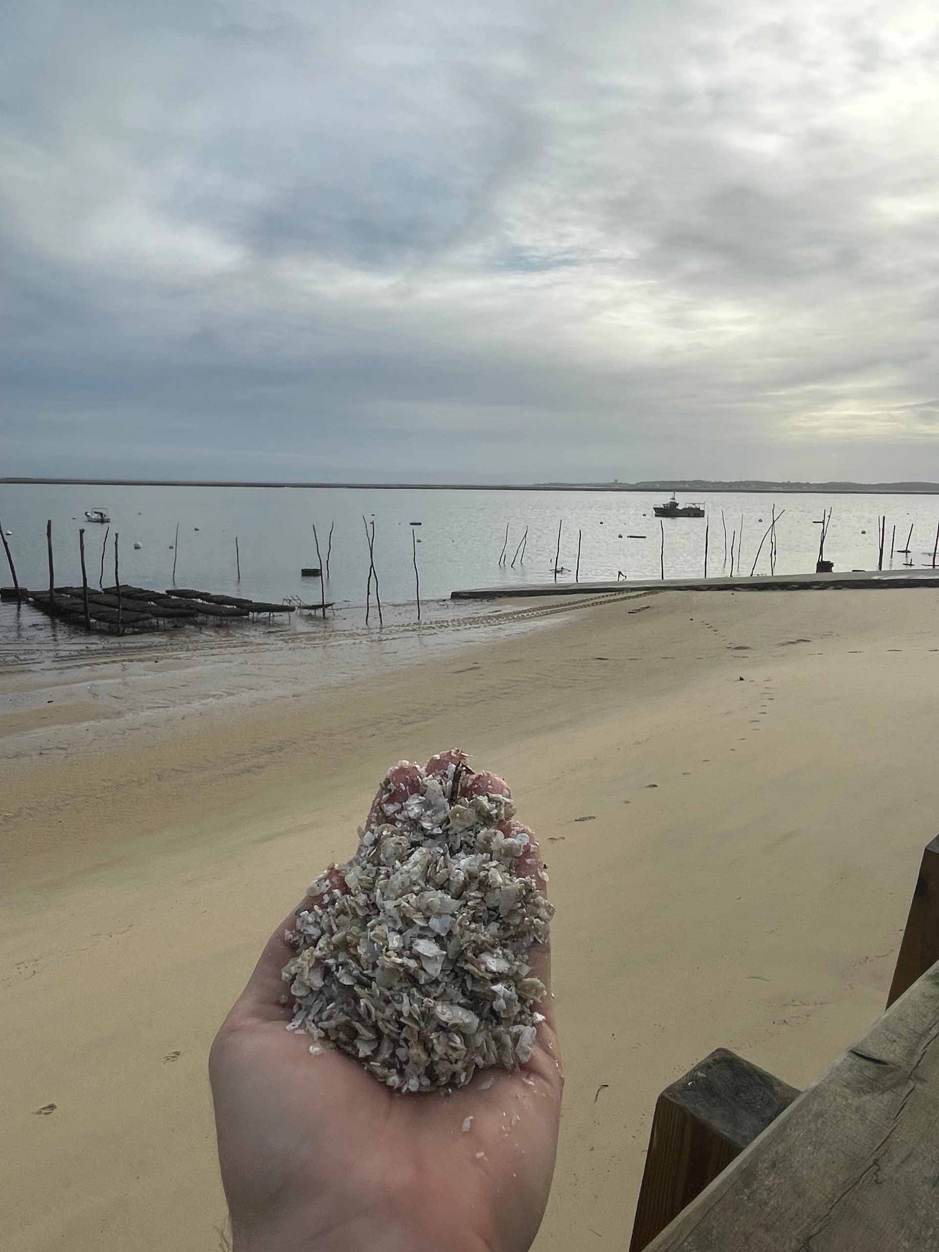 Douglas Bertin, CalX