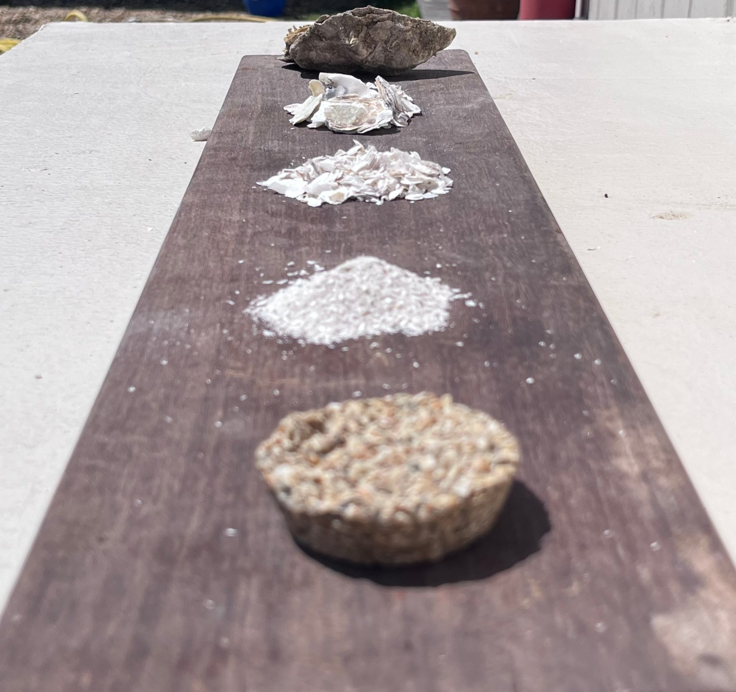 Douglas Bertin, CalX