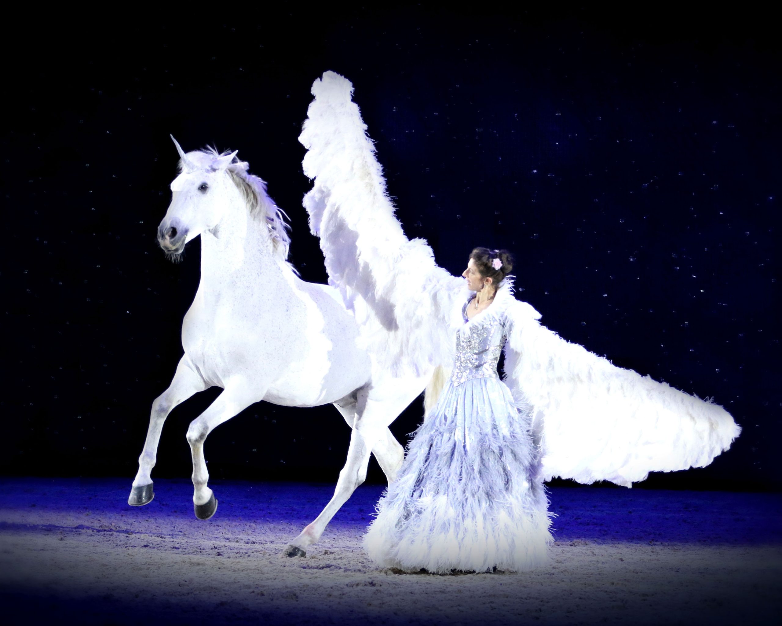 Frédéric Morand, jumping international de Bordeaux