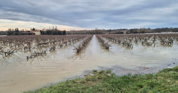 Illustration de l'article Inondations en Gironde : Le secteur agricole lourdement frappé