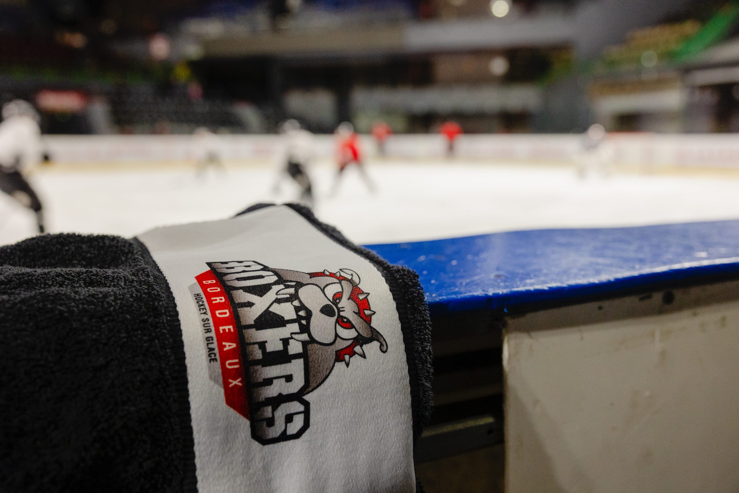 Thierry Parienty, Boxers de Bordeaux