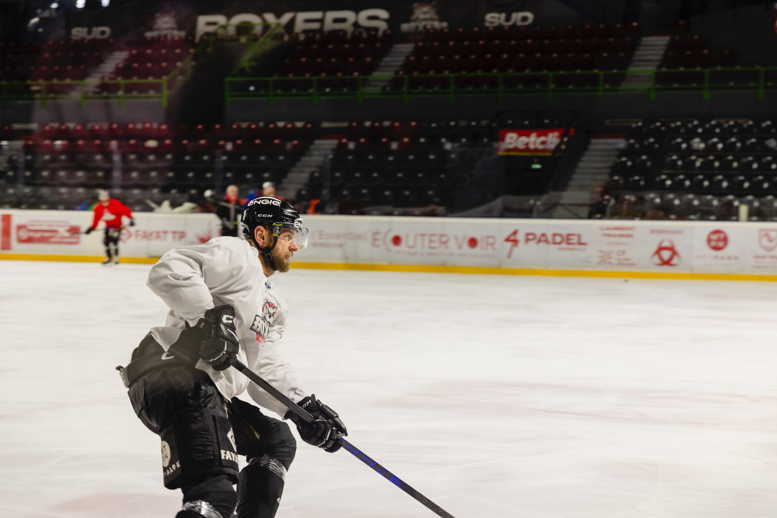 Thierry Parienty, Boxers de Bordeaux