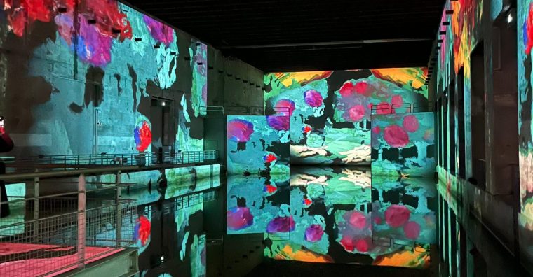 Illustration de l'article Bordeaux : Explosion de couleurs aux Bassins des Lumières