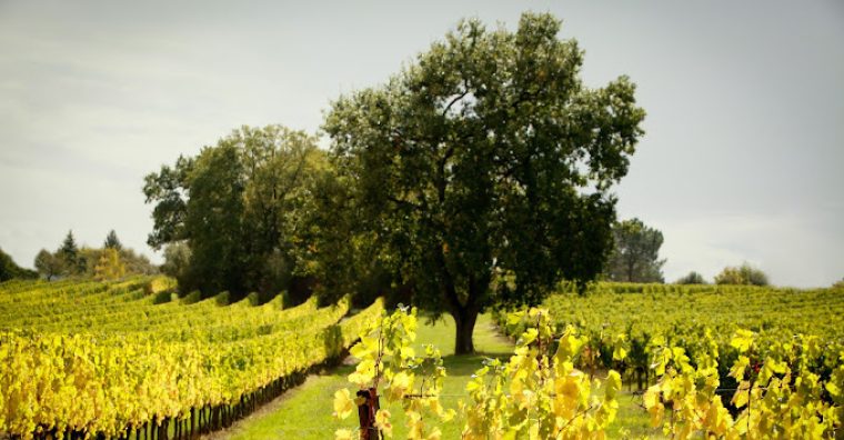 Illustration de l'article BDX le Jus : L&rsquo;air du temps