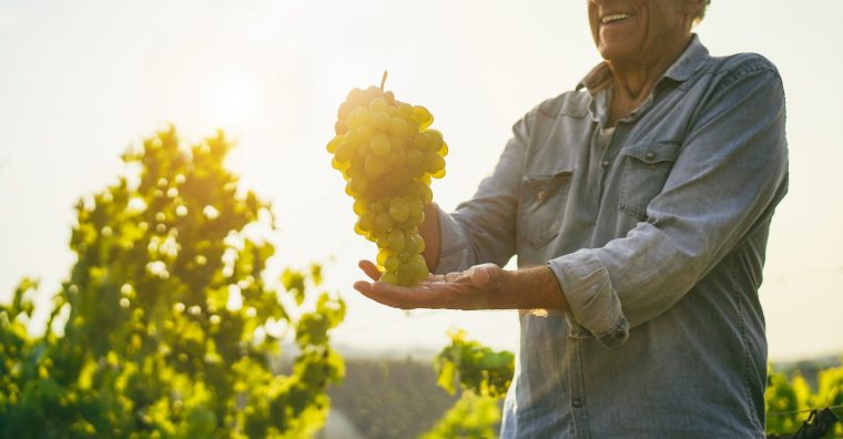 Illustration de l'article Mérignac : les Rencontres Demeter au Château Luchey-Halde en avril