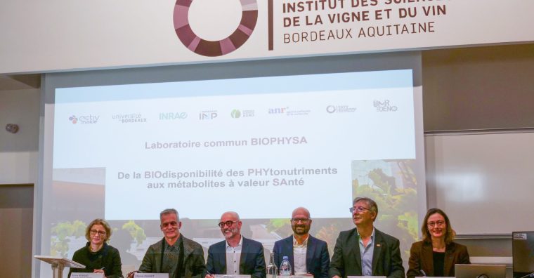 Illustration de l'article Villenave-d’Ornon : LabCom Biophysa, les plantes au service de la santé