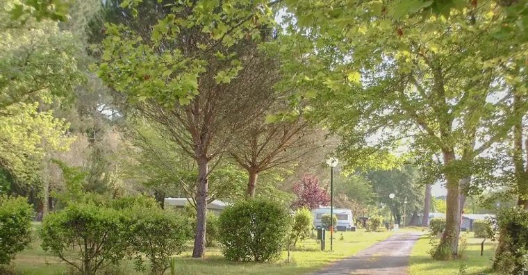 Illustration de l'article Gironde : Seasonova reprend le camping du Lac de Cazaux
