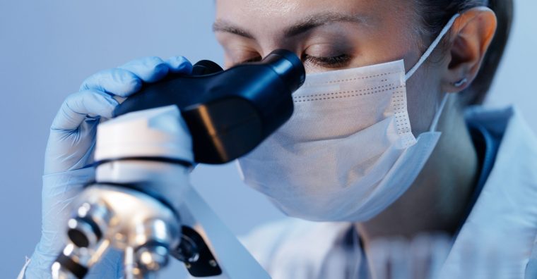 Illustration de l'article Nouvelle-Aquitaine : 4 nouveaux lauréats de France 2030 régionalisé