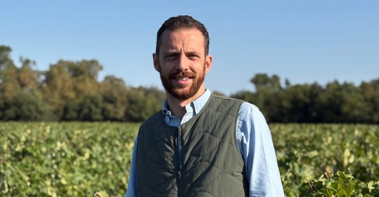 Illustration de l'article Margaux : Romain Courtier nommé directeur général du château Cantenac Brown