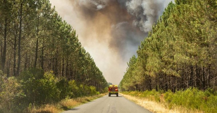 Illustration de l'article Demande d’un dispositif d’aide aux entreprises touchées par les incendies en Gironde