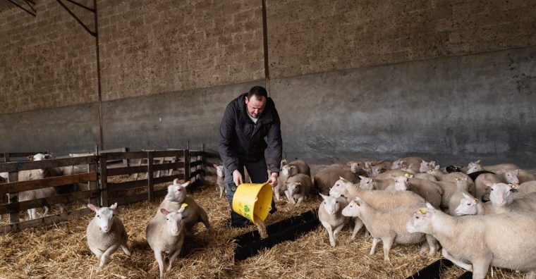 Illustration de l'article Bordeaux : La foncière agricole Feve franchit les 60 millions d’euros collectés