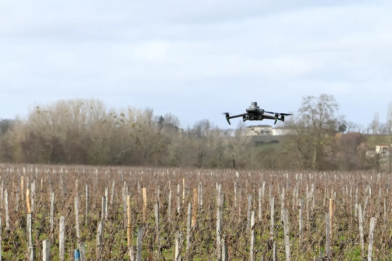 Vitidrone