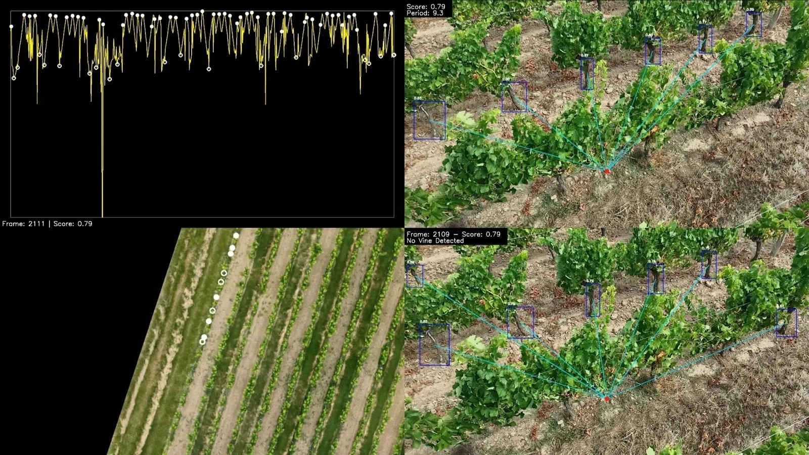 Vitidrone