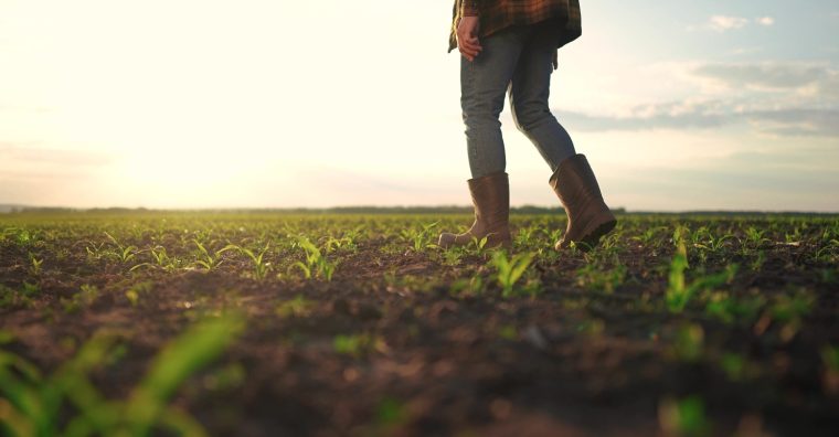 Illustration de l'article [ Tribune ] Se donne-t-on les moyens de la financer la transition agricole ?