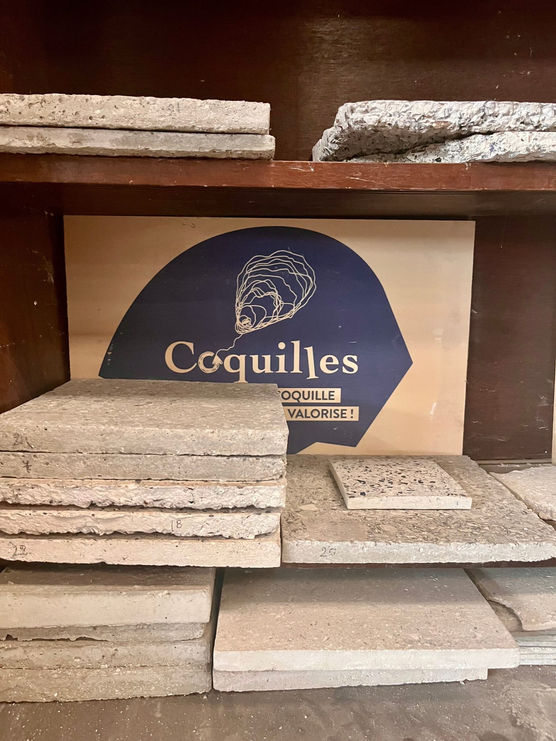 Bénédicte Salzes, Coquilles