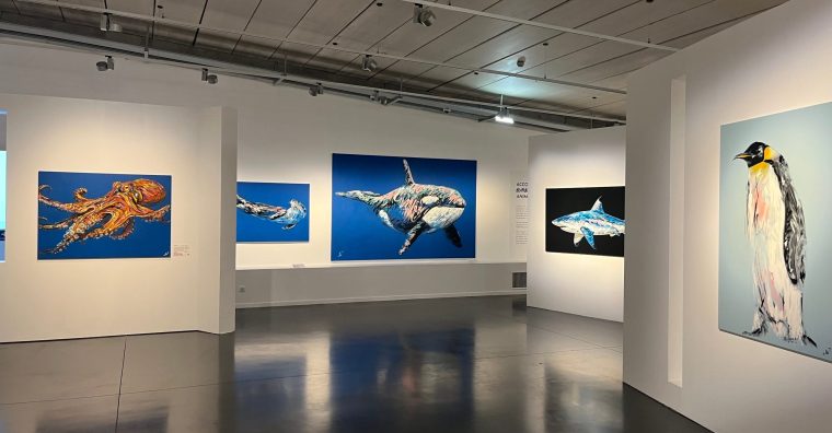 Musée Mer Marine Bleu Sauvage A-MO